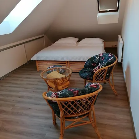 V Podkrovi 아파트 Uherský Brod